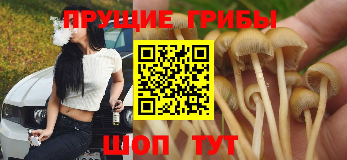 Галлюциногенные грибы MAGIC MUSHROOMS Мценск